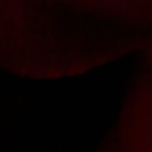 Meet your Posher, Raul